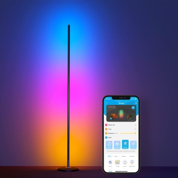 RGBIC Floor Lamp